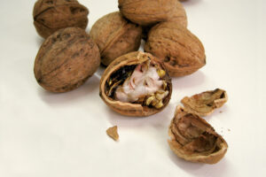 Montaje fotográfico realizado por ouidesign